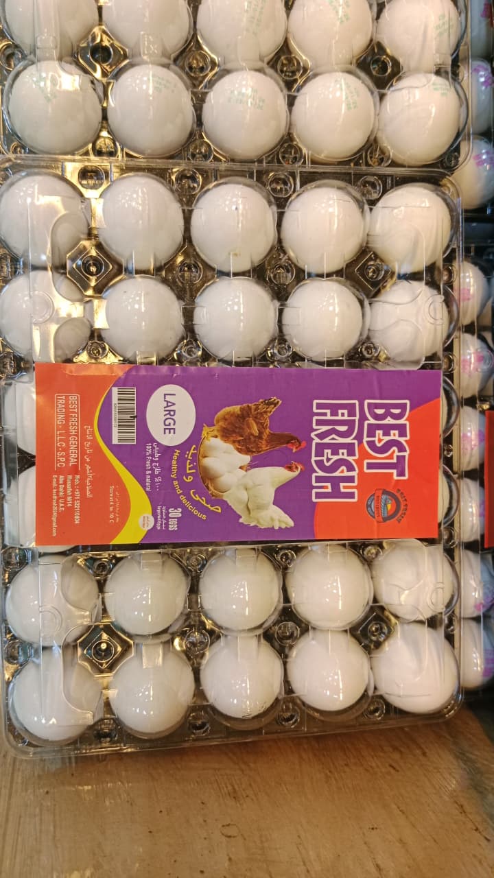 PLASTIC TRAY IMPORT EGG 30 PCS